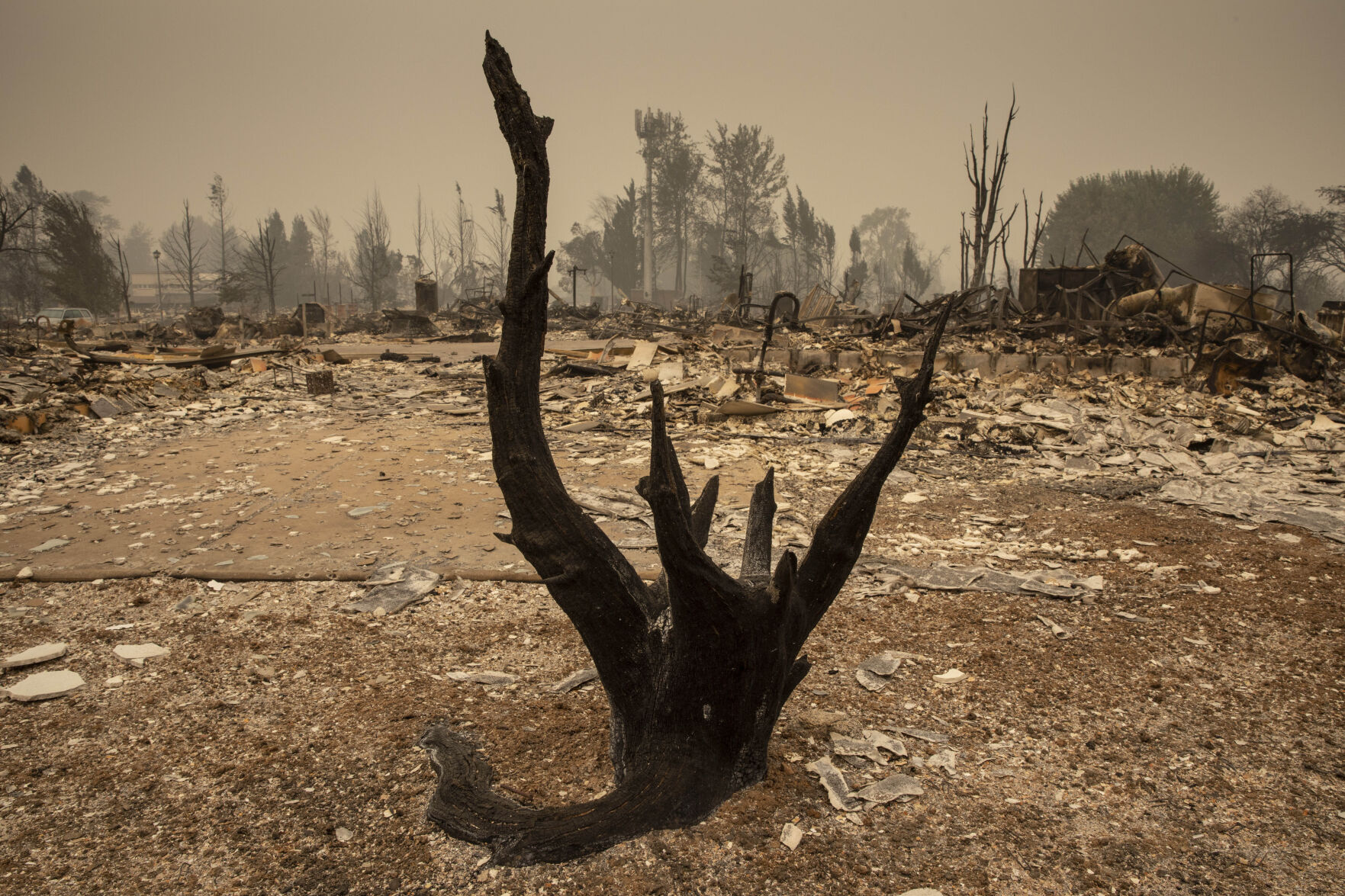 Pacific Northwest Wildfires